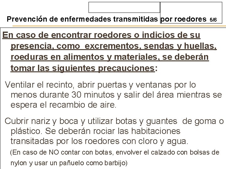 Prevención de enfermedades transmitidas por roedores 5/6 En caso de encontrar roedores o indicios