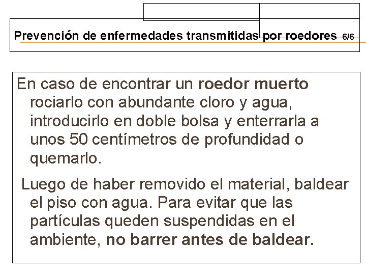 Prevención de enfermedades transmitidas por roedores 6/6 En caso de encontrar un roedor muerto