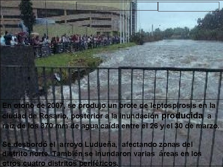 En otoño de 2007, se produjo un brote de leptospirosis en la ciudad de