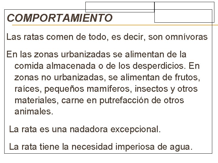 COMPORTAMIENTO Las ratas comen de todo, es decir, son omnívoras En las zonas urbanizadas