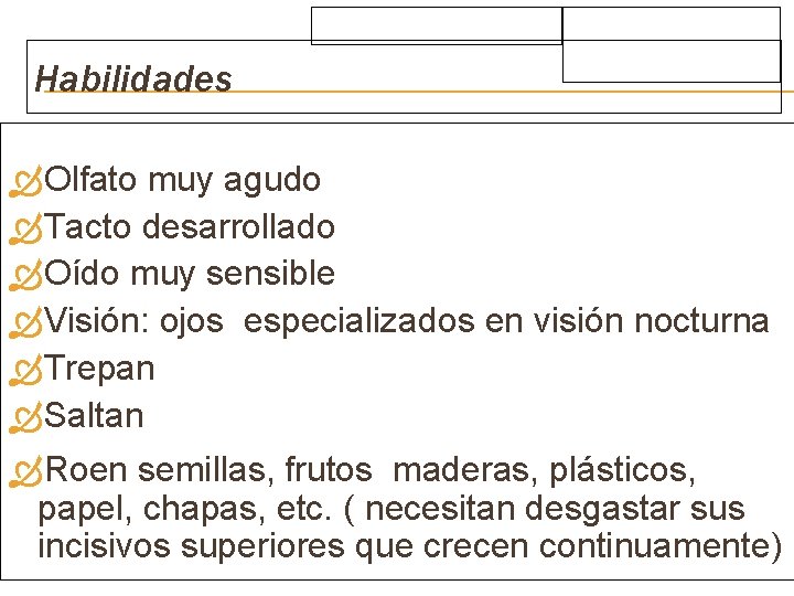 Habilidades Olfato muy agudo Tacto desarrollado Oído muy sensible Visión: ojos especializados en visión