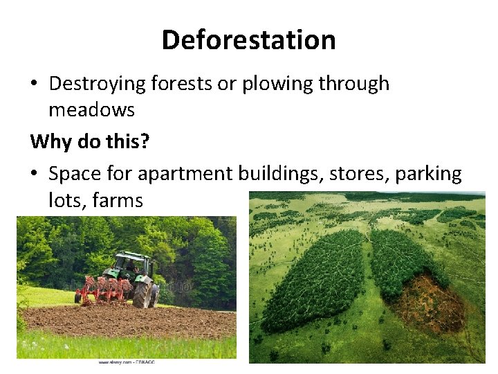 Deforestation • Destroying forests or plowing through meadows Why do this? • Space for Deforestation • Destroying forests or plowing through meadows Why do this? • Space for
