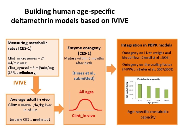 Building human age-specific deltamethrin models based on IVIVE Measuring metabolic rates (CES-1) Clint_microsomes =
