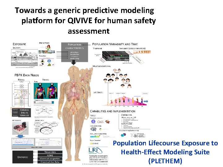 Towards a generic predictive modeling platform for QIVIVE for human safety assessment Population Lifecourse