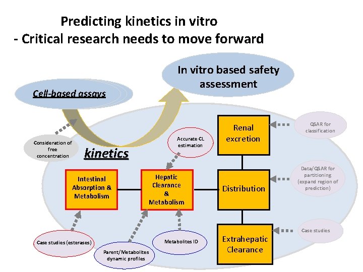 Predicting kinetics in vitro - Critical research needs to move forward Cell-based assays Consideration