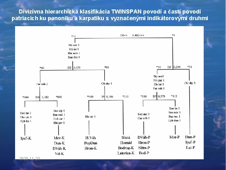 Divizívna hierarchická klasifikácia TWINSPAN povodí a častí povodí patriacich ku panoniku a karpatiku s