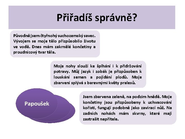 Přiřadíš správně? Původně jsem čtyřnohý suchozemský savec. Vývojem se moje tělo přizpůsobilo životu ve