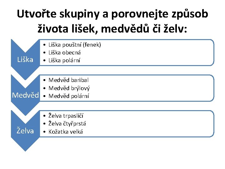 Utvořte skupiny a porovnejte způsob života lišek, medvědů či želv: Liška • Liška pouštní