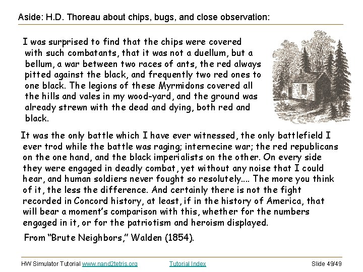 Aside: H. D. Thoreau about chips, bugs, and close observation: I was surprised to