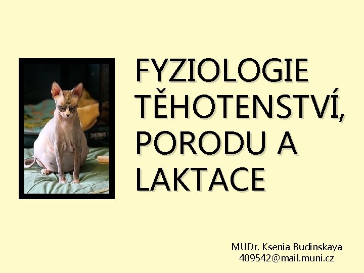 FYZIOLOGIE TĚHOTENSTVÍ, PORODU A LAKTACE MUDr. Ksenia Budinskaya 409542@mail. muni. cz 