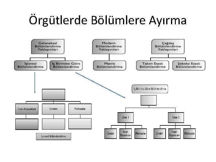 Örgütlerde Bölümlere Ayırma 