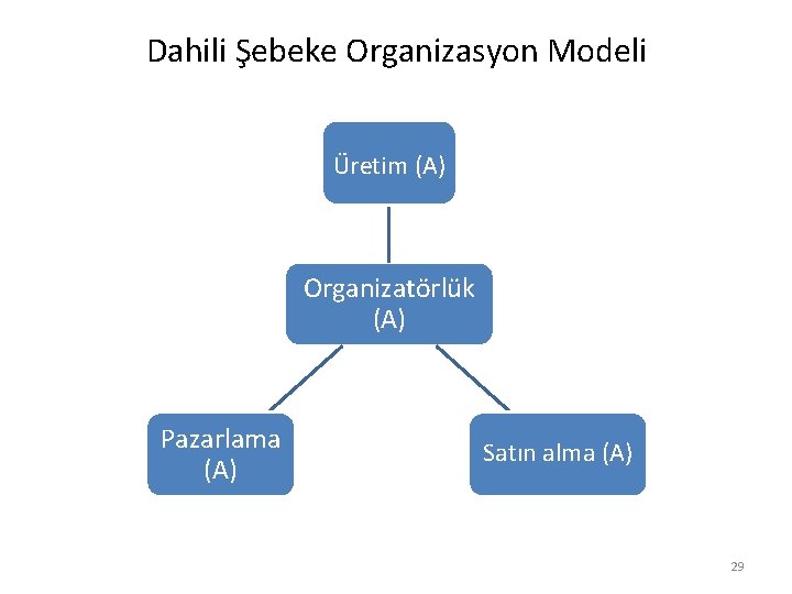 Dahili Şebeke Organizasyon Modeli Üretim (A) Organizatörlük (A) Pazarlama (A) Satın alma (A) 29