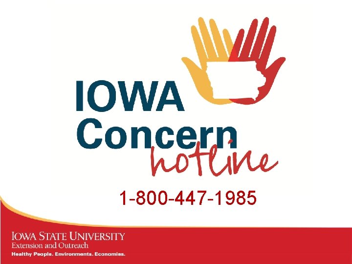 1 -800 -447 -1985 