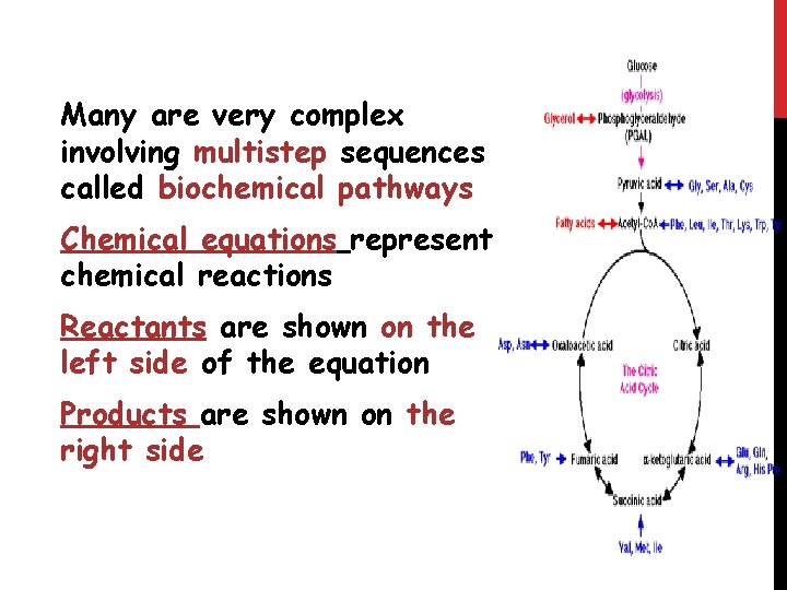 Many are very complex involving multistep sequences called biochemical pathways Chemical equations represent chemical