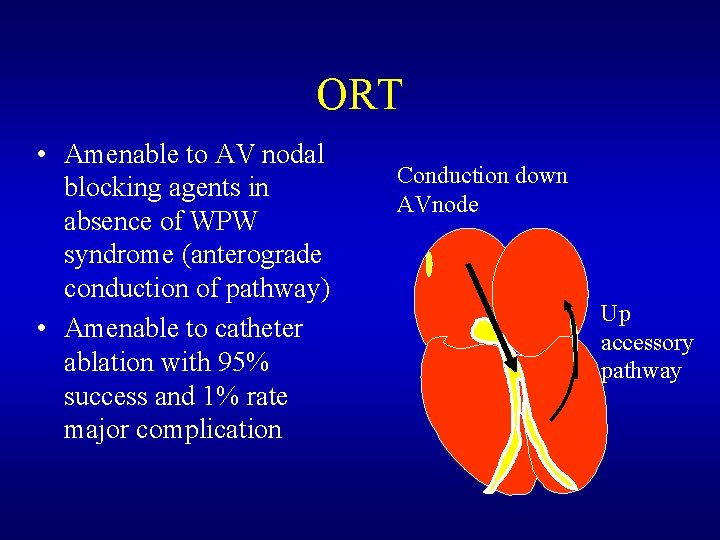 ORT • Amenable to AV nodal blocking agents in absence of WPW syndrome (anterograde ORT • Amenable to AV nodal blocking agents in absence of WPW syndrome (anterograde