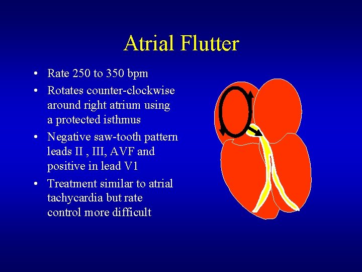 Atrial Flutter • Rate 250 to 350 bpm • Rotates counter-clockwise around right atrium Atrial Flutter • Rate 250 to 350 bpm • Rotates counter-clockwise around right atrium