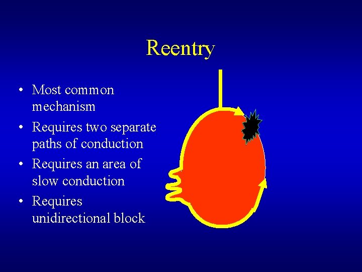 Reentry • Most common mechanism • Requires two separate paths of conduction • Requires Reentry • Most common mechanism • Requires two separate paths of conduction • Requires