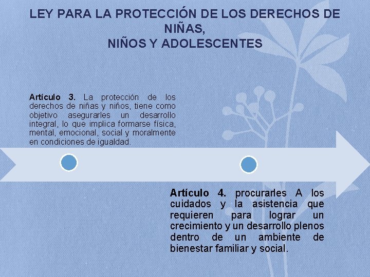 LEY PARA LA PROTECCIÓN DE LOS DERECHOS DE NIÑAS, NIÑOS Y ADOLESCENTES Artículo 3.