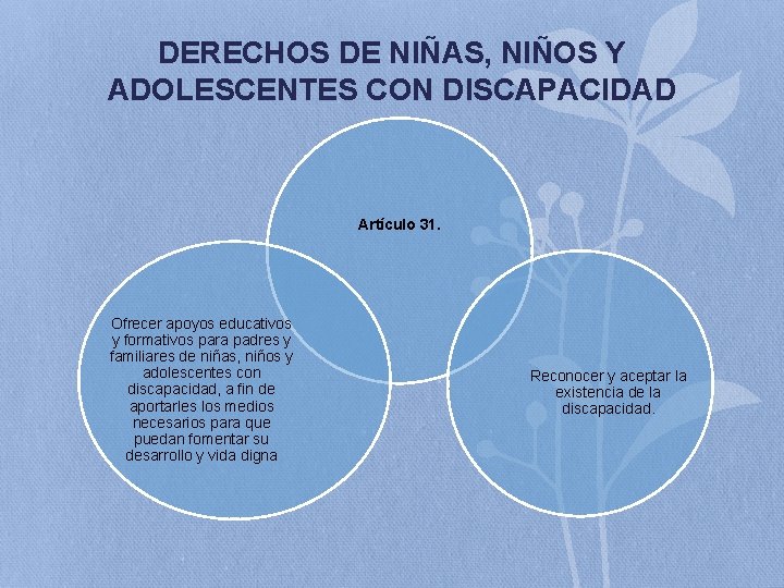 DERECHOS DE NIÑAS, NIÑOS Y ADOLESCENTES CON DISCAPACIDAD Artículo 31. Ofrecer apoyos educativos y