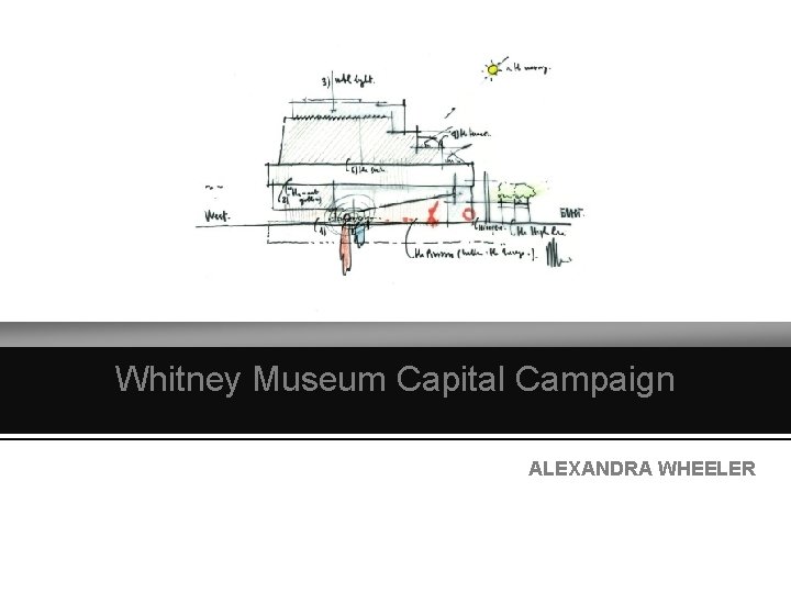 Whitney Museum Capital Campaign ALEXANDRA WHEELER 