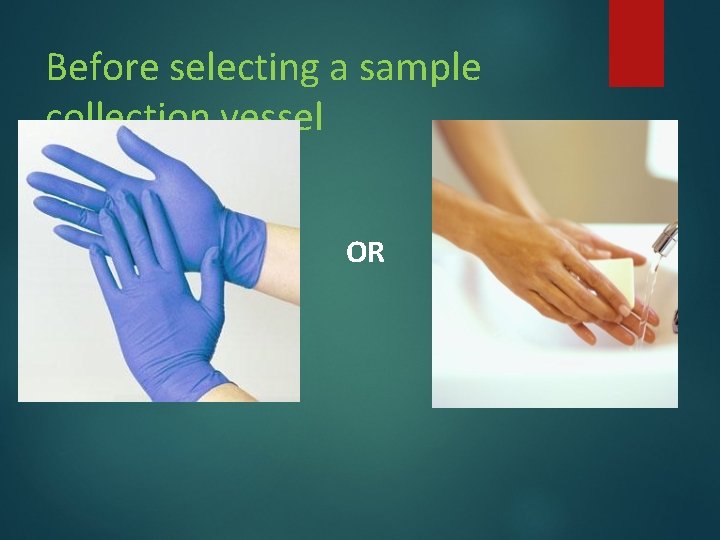 Before selecting a sample collection vessel OR Before selecting a sample collection vessel OR
