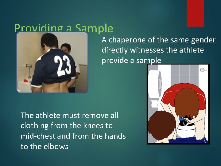 Providing a Sample A chaperone of the same gender directly witnesses the athlete provide Providing a Sample A chaperone of the same gender directly witnesses the athlete provide