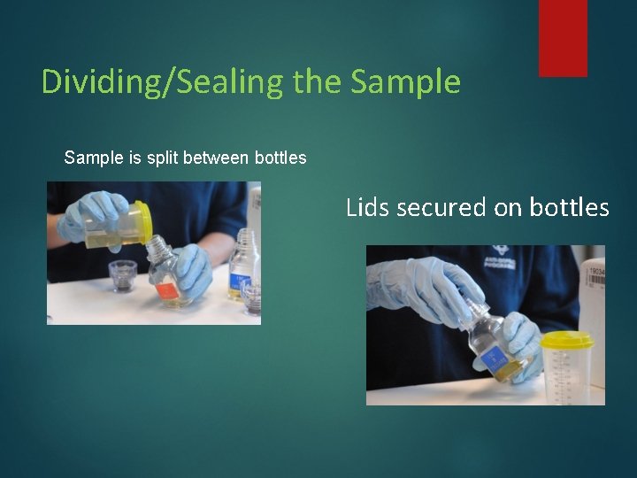 Dividing/Sealing the Sample is split between bottles Lids secured on bottles Dividing/Sealing the Sample is split between bottles Lids secured on bottles