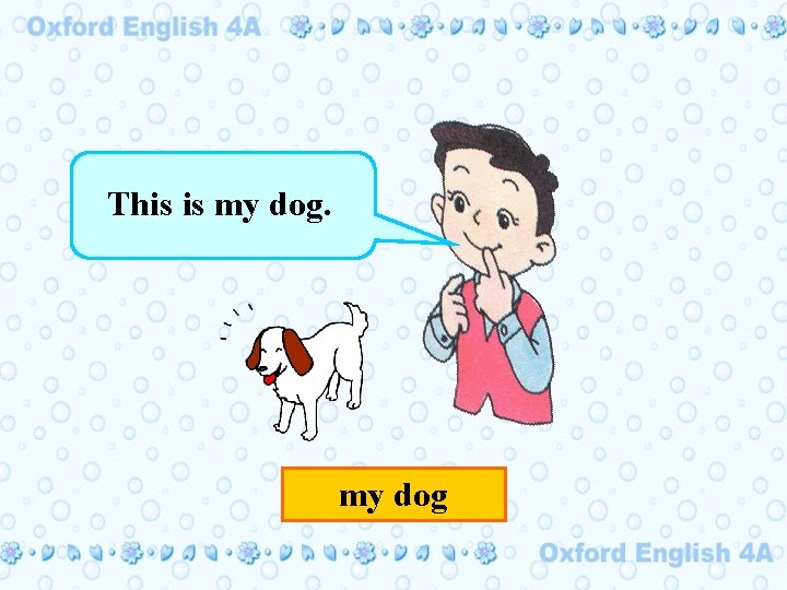 This is my dog 