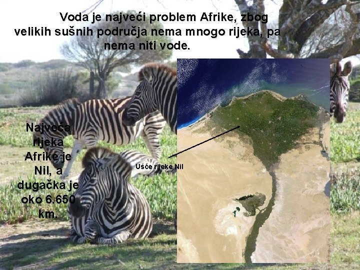 Voda je najveći problem Afrike, zbog velikih sušnih područja nema mnogo rijeka, pa nema