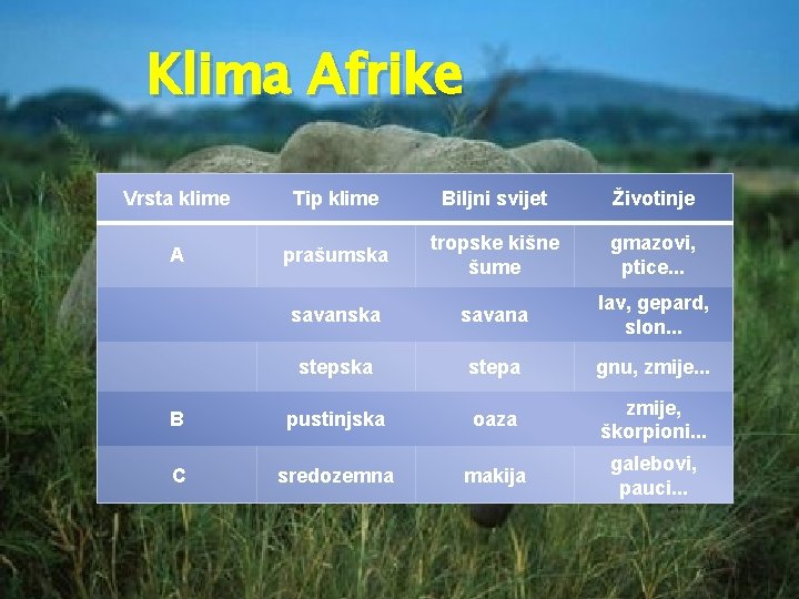 Klima Afrike Vrsta klime Tip klime Biljni svijet Životinje A prašumska tropske kišne šume