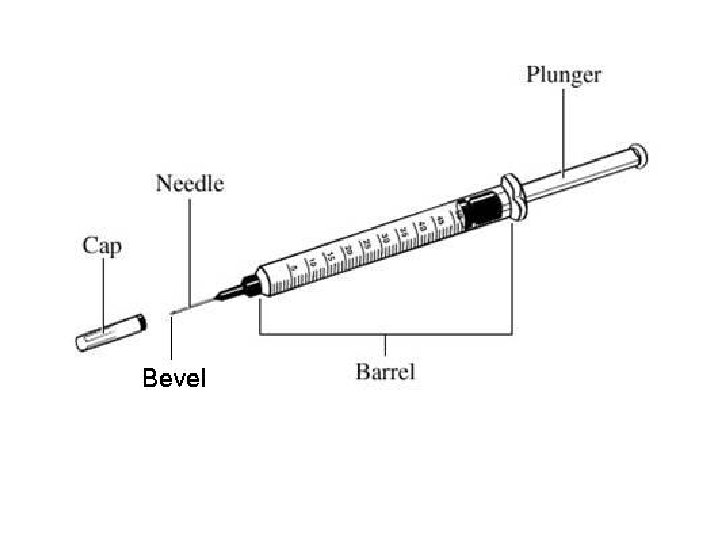 dlerqader 74@yahoo. com 