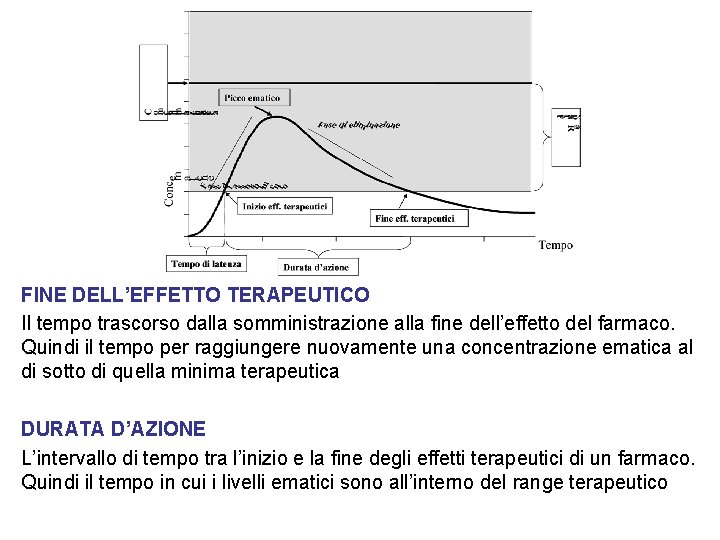 FINE DELL’EFFETTO TERAPEUTICO Il tempo trascorso dalla somministrazione alla fine dell’effetto del farmaco. Quindi