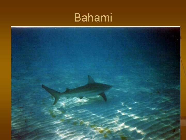 Bahami 