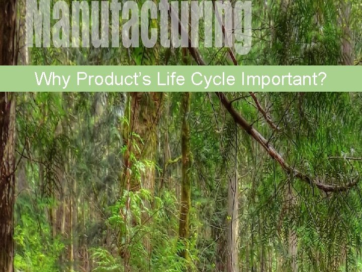 Why Product’s Life Cycle Important? 
