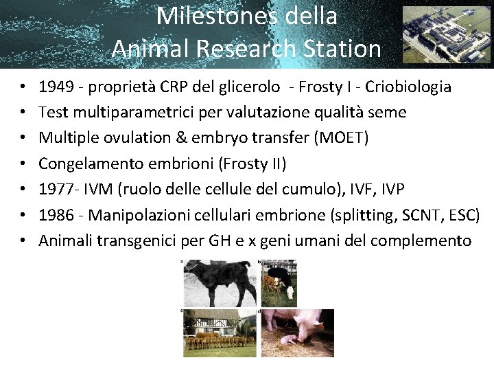 Milestones della Animal Research Station • • 1949 - proprietà CRP del glicerolo -