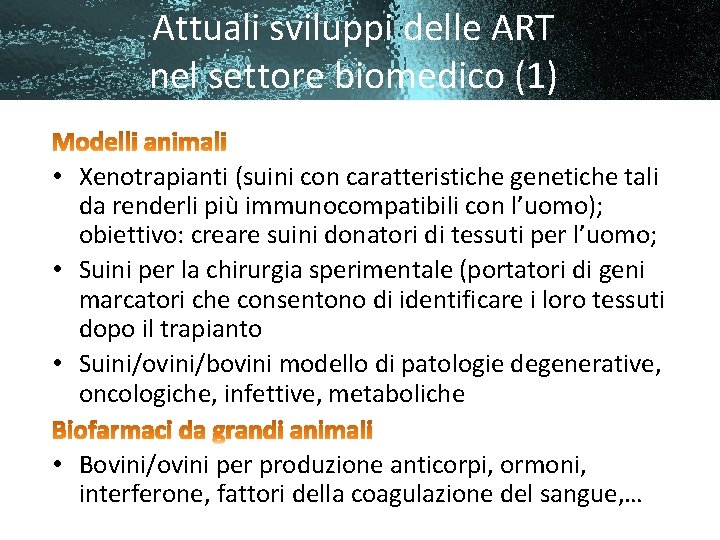 Attuali sviluppi delle ART nel settore biomedico (1) • Xenotrapianti (suini con caratteristiche genetiche