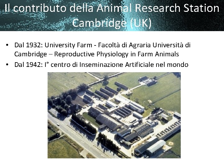 Il contributo della Animal Research Station Cambridge (UK) • Dal 1932: University Farm -