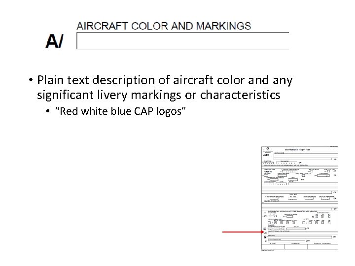  • Plain text description of aircraft color and any significant livery markings or