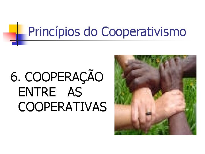 Princípios do Cooperativismo 6. COOPERAÇÃO ENTRE AS COOPERATIVAS 