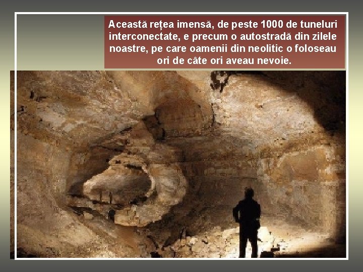 Această rețea imensă, de peste 1000 de tuneluri interconectate, e precum o autostradă din