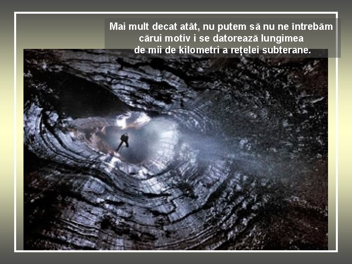 Mai mult decat atât, nu putem să nu ne întrebăm cărui motiv i se