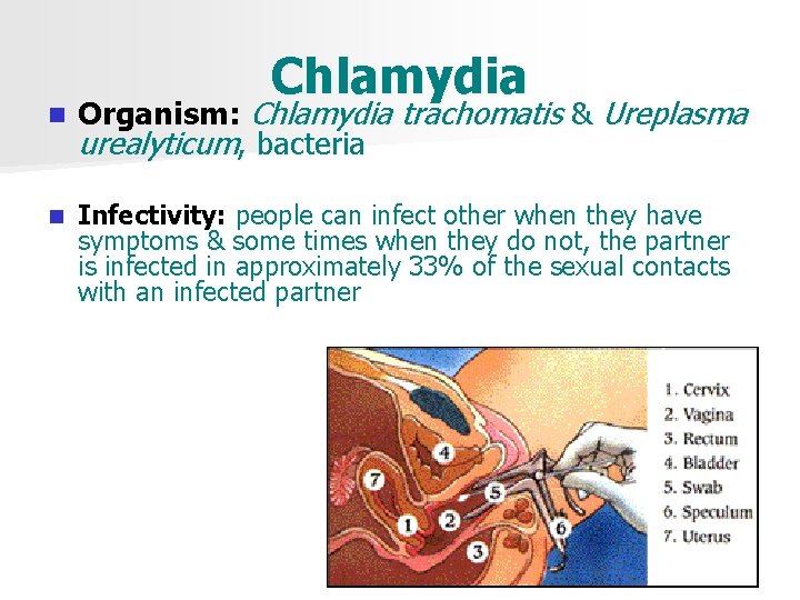 Chlamydia n Organism: Chlamydia trachomatis & Ureplasma urealyticum, bacteria n Infectivity: people can infect