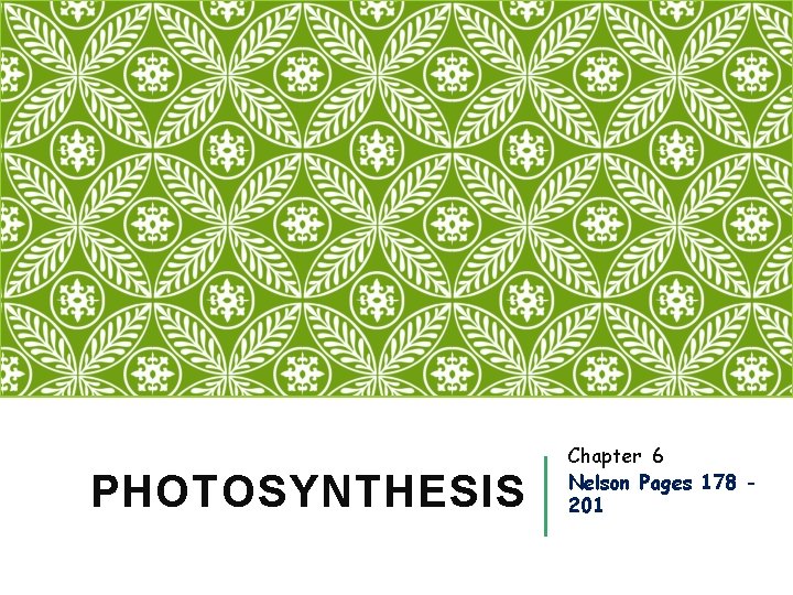 PHOTOSYNTHESIS Chapter 6 Nelson Pages 178 201 