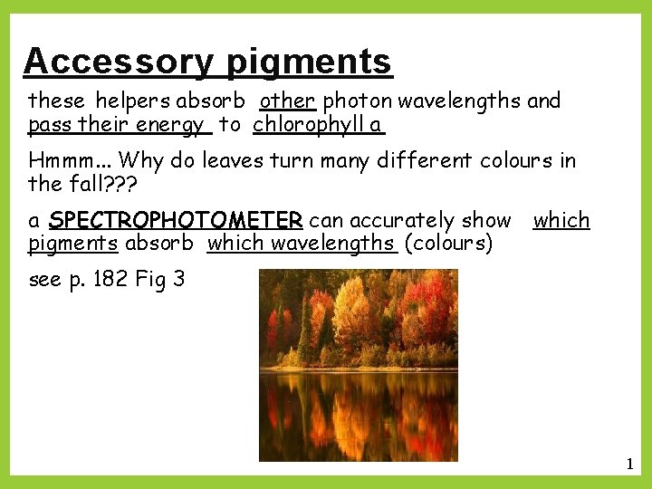Accessory pigments these helpers absorb other photon wavelengths and pass their energy to chlorophyll
