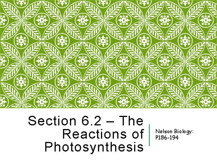 Section 6. 2 – The Reactions of Photosynthesis Nelson Biology: P 186 -194 