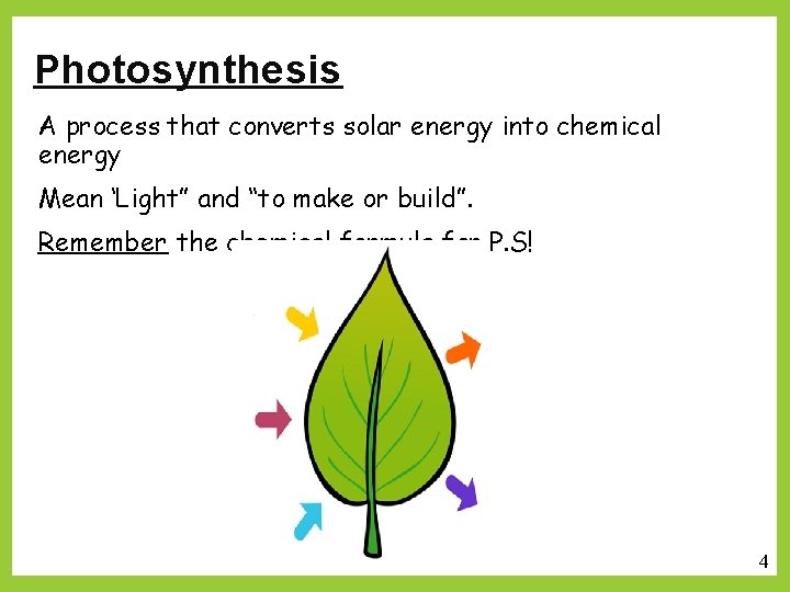 Photosynthesis A process that converts solar energy into chemical energy Mean ‘Light” and “to