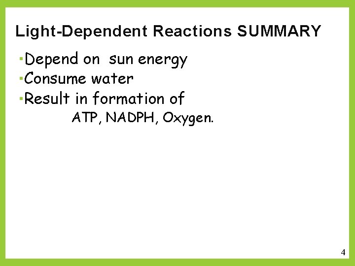 Light-Dependent Reactions SUMMARY Depend on sun energy Consume water Result in formation of ATP,