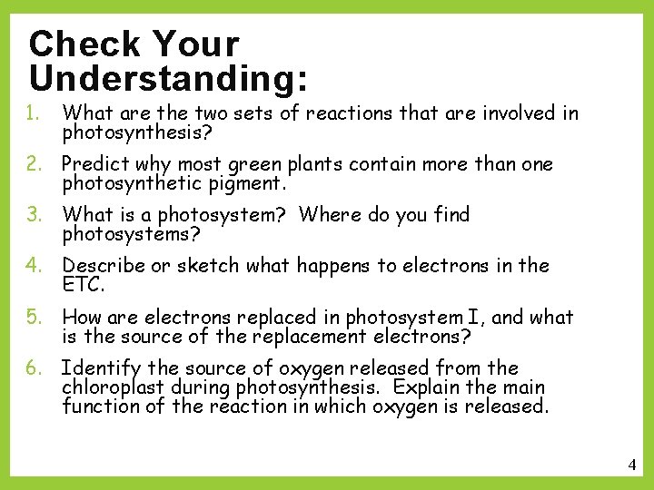 Check Your Understanding: 1. What are the two sets of reactions that are involved
