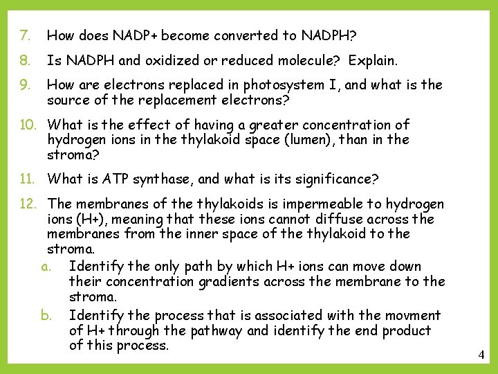 7. How does NADP+ become converted to NADPH? 8. Is NADPH and oxidized or