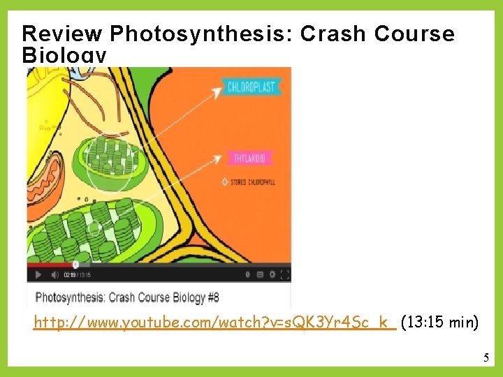 Review Photosynthesis: Crash Course Biology http: // www. youtube. com/watch? v=s. QK 3 Yr